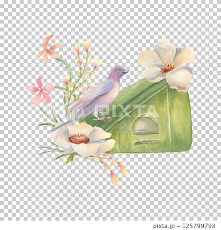 Watercolor birdhouse with soft creamy anemone and swallow isolated on white. Hand painted delicate pink wildflowers and bird in rustic style for greeting cards, children illustration, scrapbooking. Watercolor birdhouse with soft creamy anemone and swallow isolated on white. Hand painted delicate pink wildflowers and bird in rustic style for greeting cards, children illustration, scrapbooking. 125799798