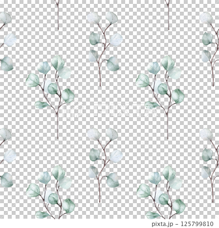 Simple eucalyptus leaf vertical seamless pattern isolated. Nordic style repeated watercolor greenery for modern fabric, packaging, and stationery. Botanical background with fresh pale green plants. 125799810