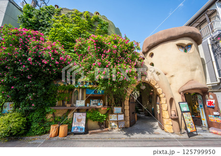 吉祥寺プティット村 吉祥寺プティット村 125799950