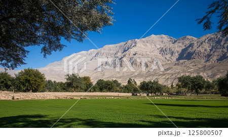 A scenic view of a green field with trees and a large mountain range under a clear blue sky day landscape 125800507
