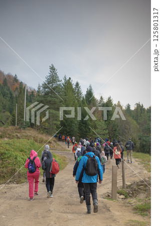 tourists in autumn in the Carpathian forests - walking along a path in the forest. View from the back 125801317