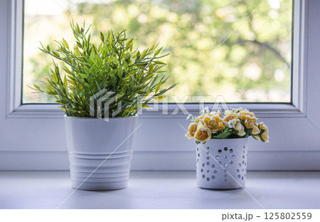 Bright pink decorative roses in a white flower pot and a pot with green leaves on the window 125802559