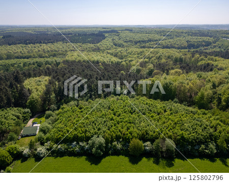 Hallerbos, Halle, Vlaams Brabant, Belgium, 27th of April, 2025, A Stunning Aerial View that Hallerbos, Halle, Vlaams Brabant, Belgium, 27th of April, 2025, A Stunning Aerial View that 125802796