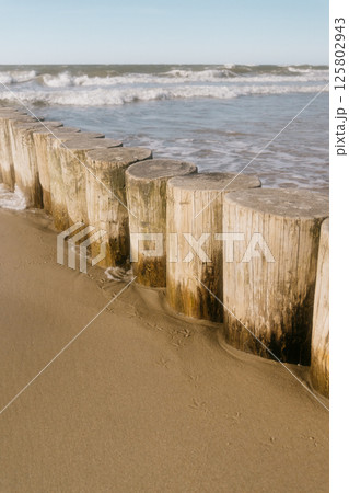 row of logs on beach. pier made of wooden beams on sand.  125802943