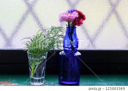 窓辺に置いた青色のガラス瓶に活けたヤグルマギク 125803569