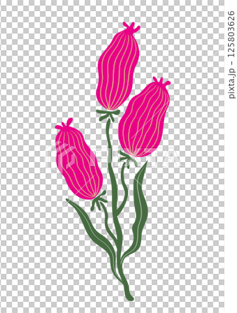 Minimalistic botanical illustration of pink buds and green leaves on white background Minimalistic botanical illustration of pink buds and green leaves on white background 125803626