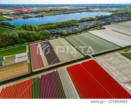 Aerial view of peaceful suburban neighborhood surrounded by fields and canals. Neat rows of houses with red roofs reflect in the water set against a backdrop of farmland and open skies. Beautiful lake Aerial view of peaceful suburban neighborhood surrounded by fields and canals. Neat rows of houses with red roofs reflect in the water set against a backdrop of farmland and open skies. Beautiful lake 125804065
