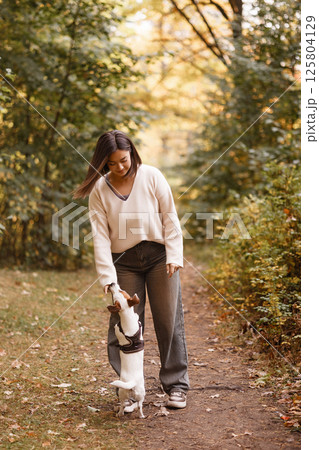 Woman training small dog during autumn walk in forest Woman training small dog during autumn walk in forest 125804129