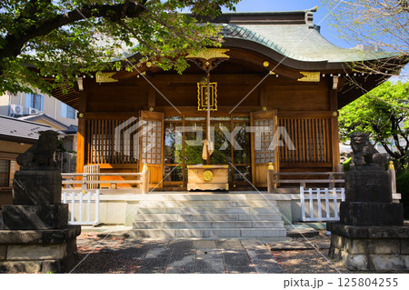 田端八幡神社　拝殿　東京都北区田端 125804255