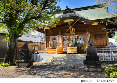 田端八幡神社　拝殿　東京都北区田端 125804257