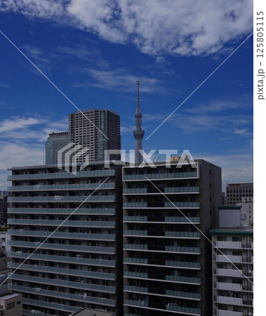 スカイツリー　青空 125805115
