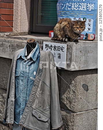 児島の風景 125805270