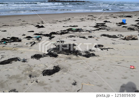 海辺の海藻とゴミ 海岸の漂着物 125805630