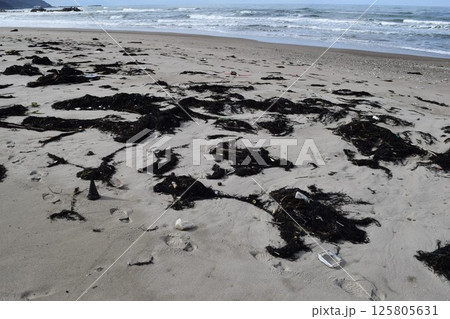 海辺の海藻とゴミ 海岸の漂着物 海辺の海藻とゴミ 海岸の漂着物 125805631