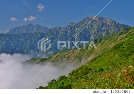 夏の白馬八方ハイキング 125805665