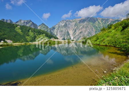 夏の白馬　八方池 125805671