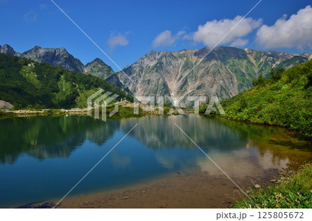 夏の白馬　八方池 125805672