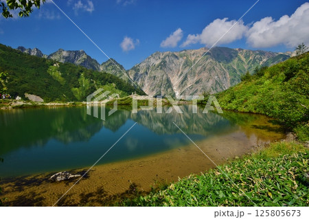夏の白馬 八方池 夏の白馬 八方池 125805673