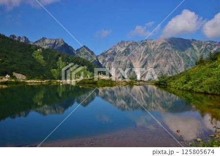 夏の白馬 八方池 夏の白馬 八方池 125805674