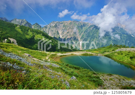夏の白馬　八方池 125805679