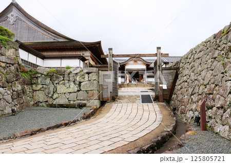 篠山城大書院　丹波篠山　城下町　丹波篠山市　兵庫県　　 125805721