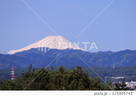 初夏の富士山 125805742