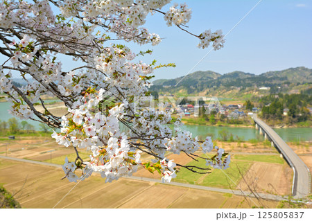 関越自動車道・越後川口サービスエリア 関越自動車道・越後川口サービスエリア 125805837