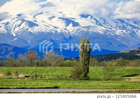 米所庄内　立夏の水田風景 125805866