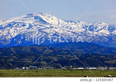 米所庄内　立夏の水田風景 125805867