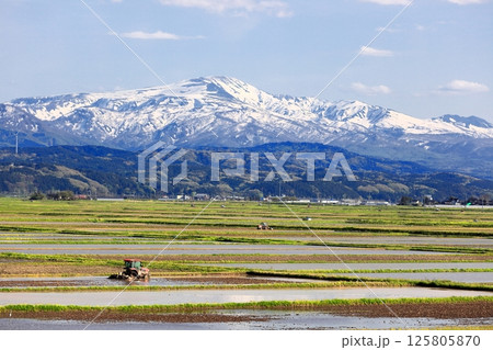 米所庄内 立夏の水田風景 米所庄内 立夏の水田風景 125805870