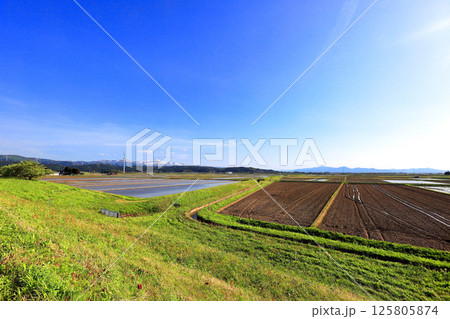 米所庄内　立夏の水田風景 125805874