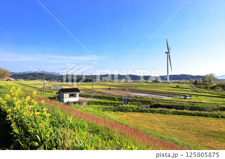 米所庄内 立夏の水田風景 米所庄内 立夏の水田風景 125805875