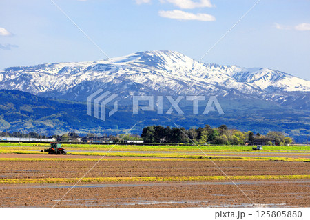 米所庄内　立夏の水田風景 125805880