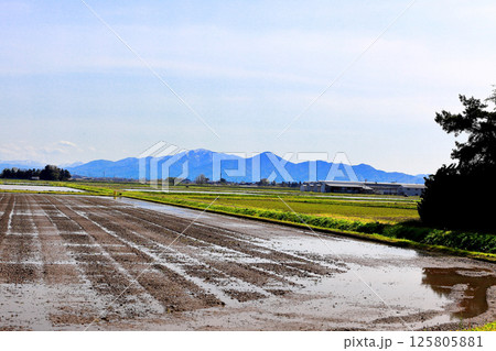 米所庄内　立夏の水田風景 125805881