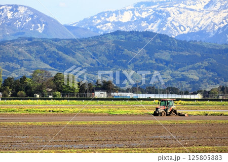 米所庄内 立夏の水田風景 米所庄内 立夏の水田風景 125805883