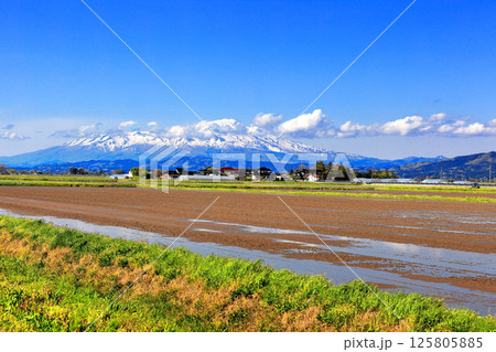 米所庄内　立夏の水田風景 125805885