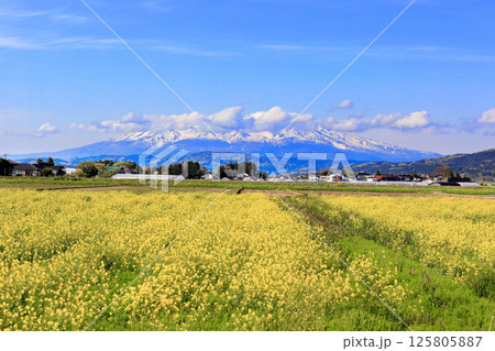 米所庄内　立夏の水田風景 125805887