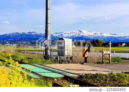 米所庄内　立夏の水田風景 125805893