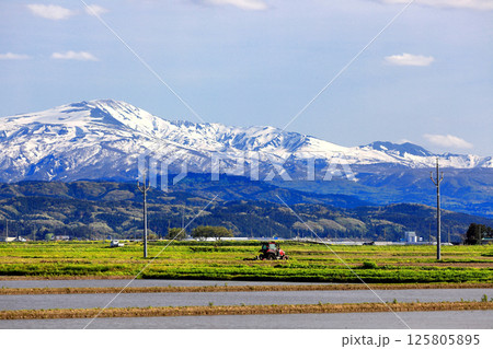 米所庄内　立夏の水田風景 125805895