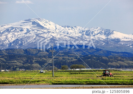 米所庄内　立夏の水田風景 125805896