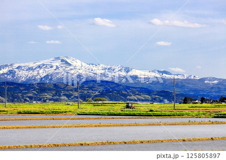 米所庄内　立夏の水田風景 125805897