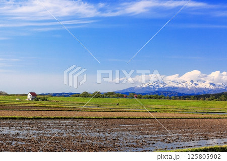 米所庄内　立夏の水田風景 125805902