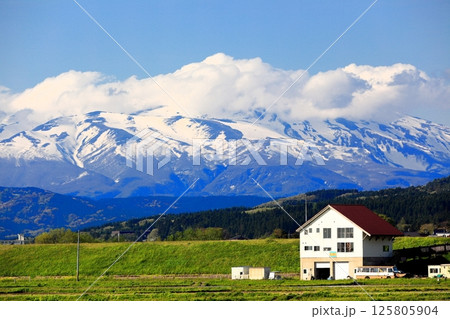 米所庄内 立夏の水田風景 米所庄内 立夏の水田風景 125805904