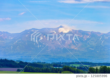 大雪山　(6月　晴れ　昼) 125805996