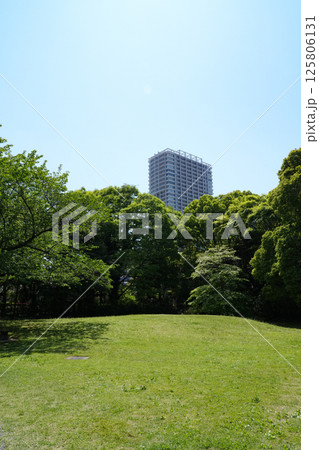 旧芝離宮恩賜庭園 旧芝離宮恩賜庭園 125806131