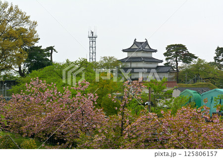 日本100名城・新発田城 125806157