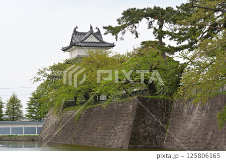 日本100名城・新発田城 125806165