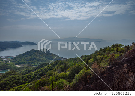 日本の岡山県児島半島の八丈岩山の山火事後でも美しい風景 125806216