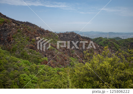 日本の岡山県児島半島の八丈岩山の山火事後でも美しい風景 125806222