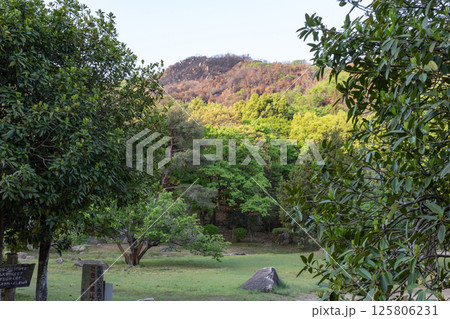 日本の岡山県児島半島の八丈岩山の山火事後でも美しい風景 125806231